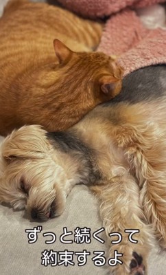 生まれてきてくれてありがとう