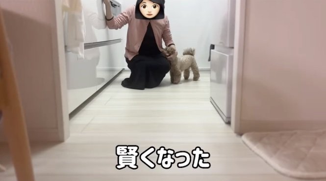 いつか仲良くなれるかな