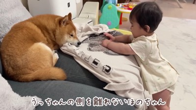 うにくんの周りをグルグル