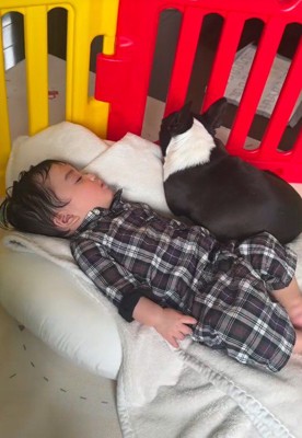 隣で添い寝をすることに