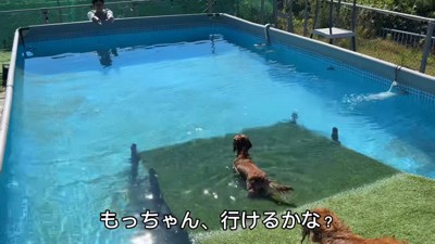 怖がるモナカちゃん