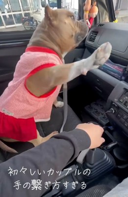 もう一度手を上げるリリーちゃん