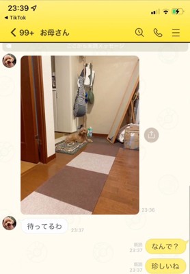 「待ってるわ」