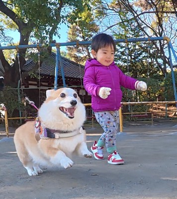 お散歩