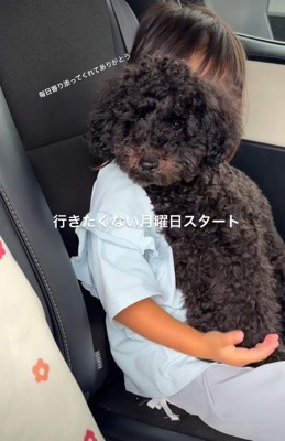 温かな光景にホッコリ