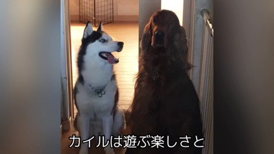 イタズラをする楽しさも♪