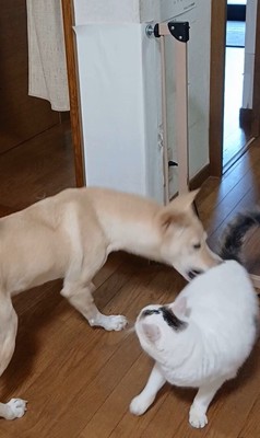 そらちゃんの変化7