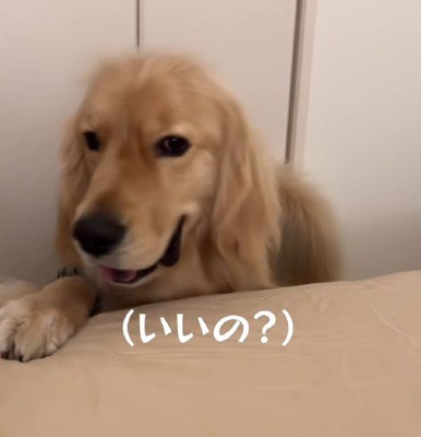 「それじゃ遠慮なく…!」