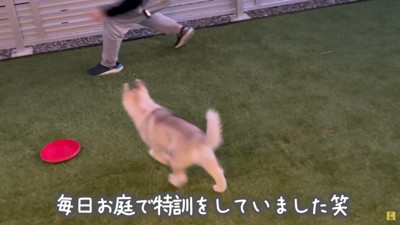 格好の遊び相手♪