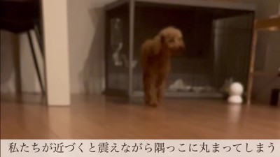 家の中のすべてが怖い…