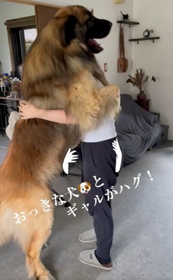 ハグし合うふたり