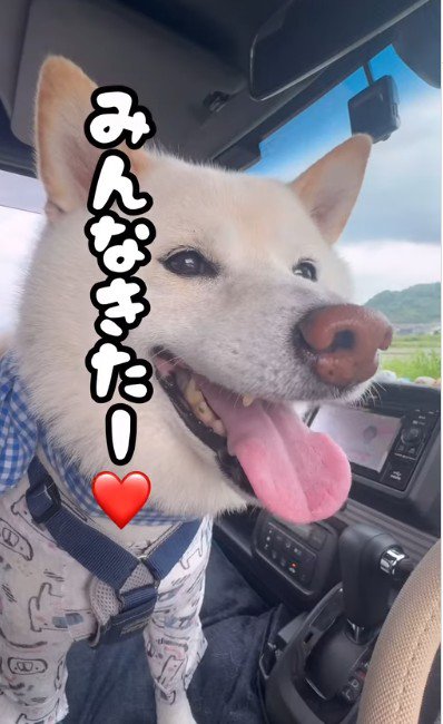 キラキラ笑顔にホッコリ♡