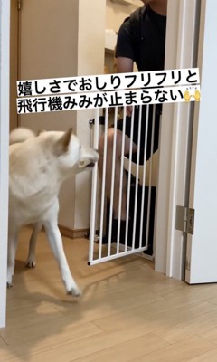 隠しきれない喜び