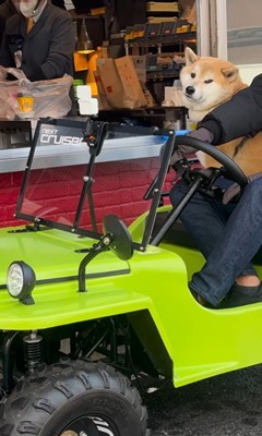 色々な乗り物に乗るおもち君9