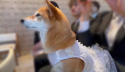 愛情あふれる表情に涙