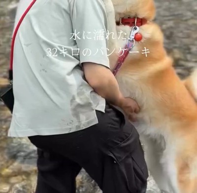 抱っこをせがむおはるちゃん