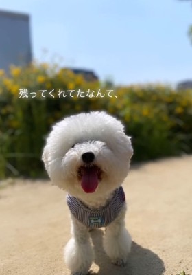 口を開けるまるちゃん