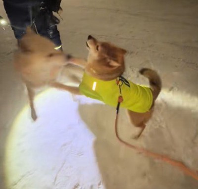 雪が積もった日もハグ