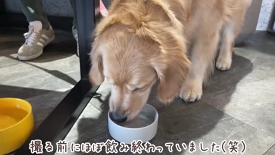 ヤギミルクを注文♪