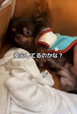 テープくんの変化3