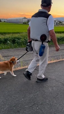 真横に行っても気が付かない