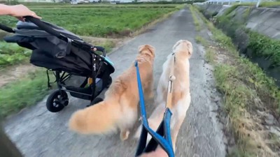 仲良く並んでトコトコ…♪