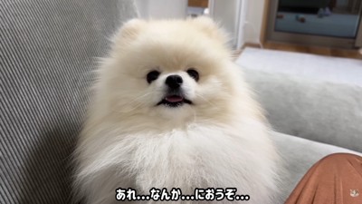 オナラのニオイが…!