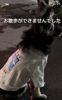 なぜか外を歩けない