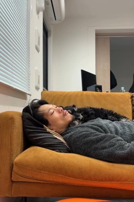 眠る犬