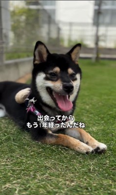 千幸ちゃんとご家族の1年間5