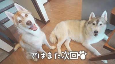 妹大好きな兄姉でした♪