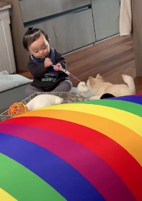 ちょっとしたもめごとも
