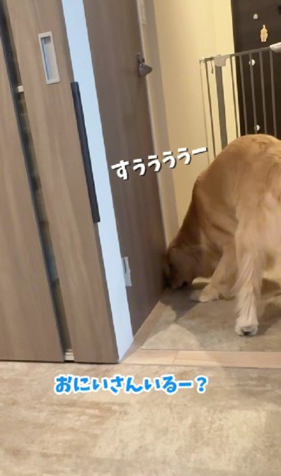 トイレもチェック！