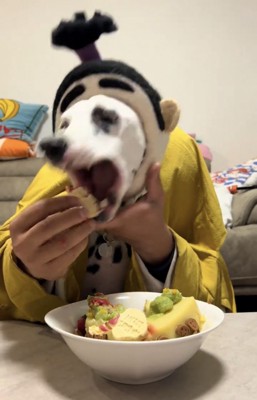 勢いよく口を開けてケーキを食べる犬