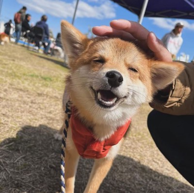 普段のニコニコ顔のオルちゃん