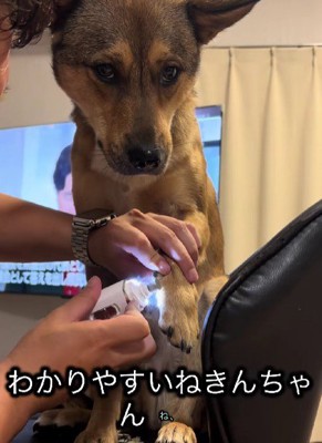 「もう終わる?」