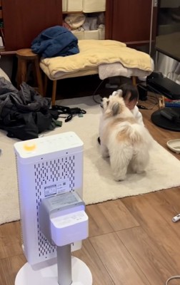 友達をガン見する小太郎くん