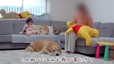 おからちゃんのぬいぐるみ