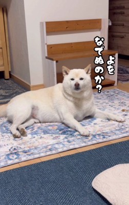 「こっちへまいれ」