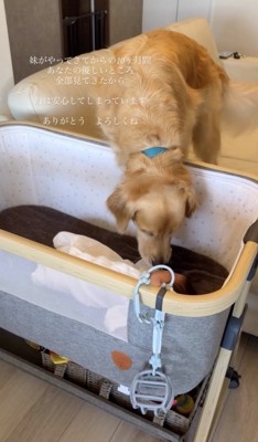 「なかよくしようね」