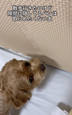 うなるちくわちゃん