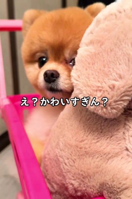 手押し車に乗る役だよ