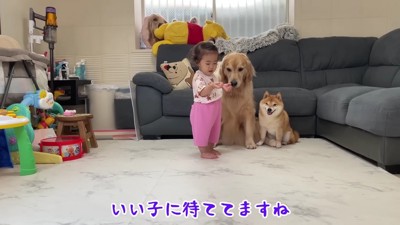 とっても仲がいい3兄妹♡