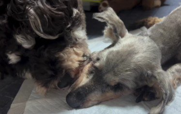 誰よりも幸せだったね!