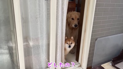 3兄妹はとっても仲良し