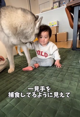 手を軽くカミカミすると…