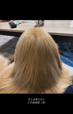 金髪サラサラヘアーのひなた君