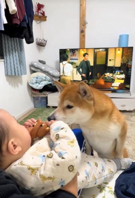 匂いをクンクン…