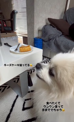 チーズケーキ食べたい…