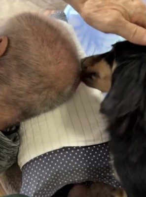 犬の頭をなでる祖父